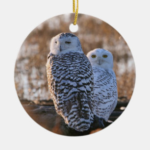 Snowy Owl Couple Ceramic Ornament