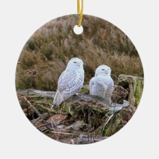Snowy Owl Couple Ceramic Ornament (Front)