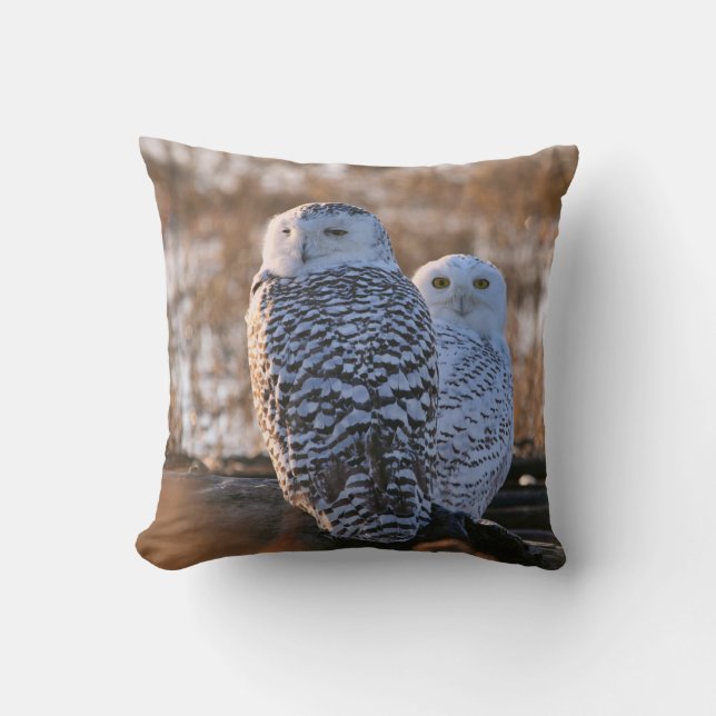 Snowy Owl Couple Throw Pillow (Front)