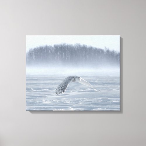Snowy Owl Flying In Winter Canvas Print