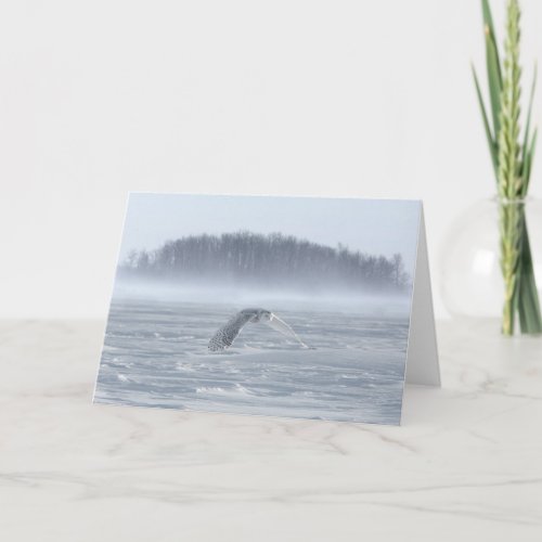 Snowy Owl Flying In Winter Card