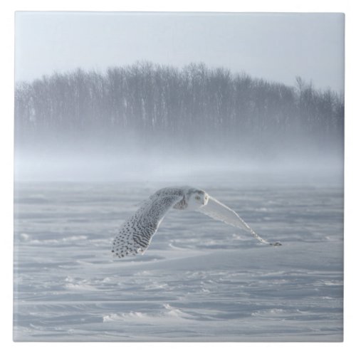 Snowy Owl Flying In Winter Ceramic Tile