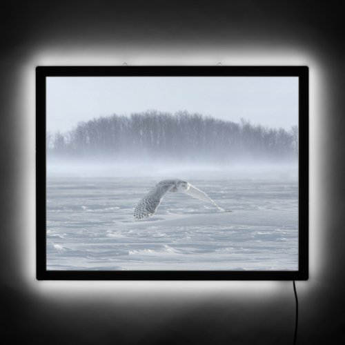 Snowy Owl Flying In Winter LED Sign