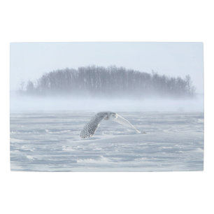 Snowy Owl Flying In Winter Metal Print