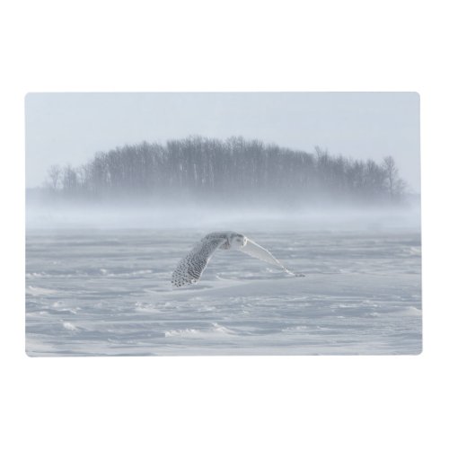 Snowy Owl Flying In Winter Placemat