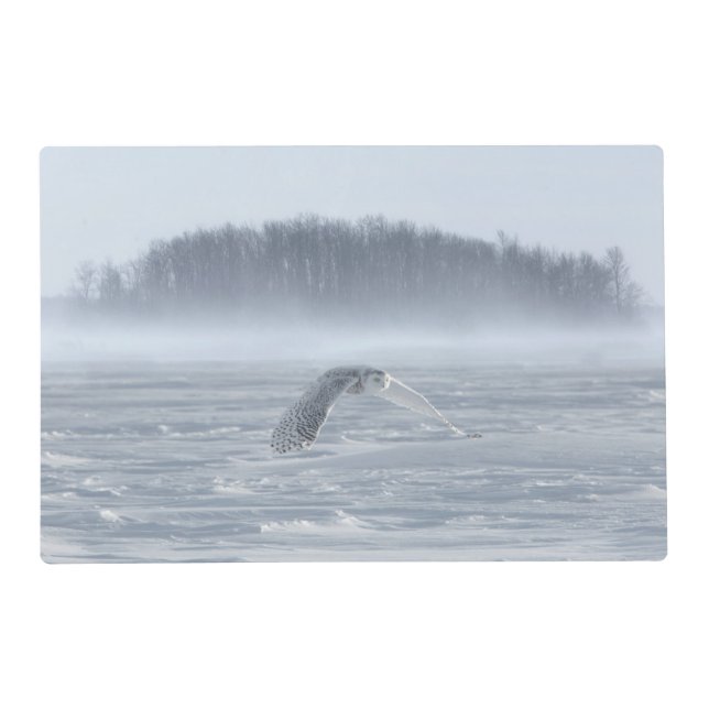 Snowy Owl Flying In Winter Placemat (Front)