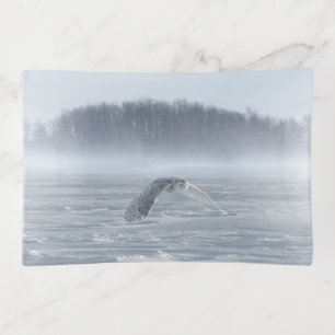 Snowy Owl Flying In Winter Trinket Tray