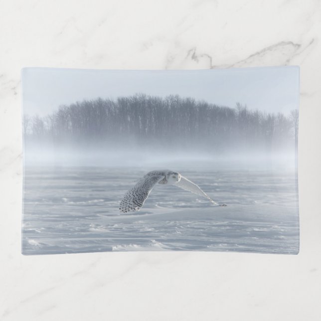 Snowy Owl Flying In Winter Trinket Tray (Front)