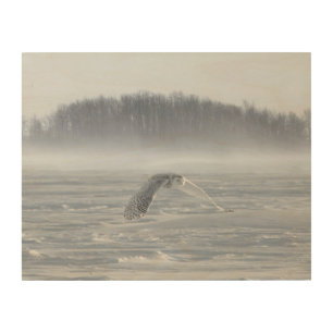 Snowy Owl Flying In Winter Wood Wall Art