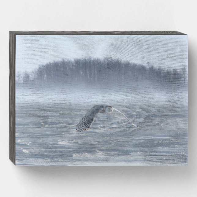 Snowy Owl Flying In Winter Wooden Box Sign (Front Horizontal)