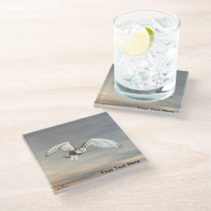 Snowy Owl Glass Coaster