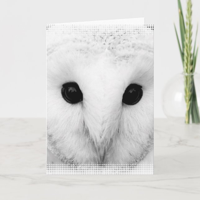 Snowy Owl Greeting Card (Front)