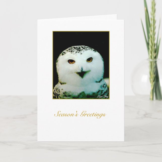 Snowy Owl Holiday Card - 'Merry Christmas' (Front)