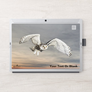 Snowy Owl HP Laptop Skin
