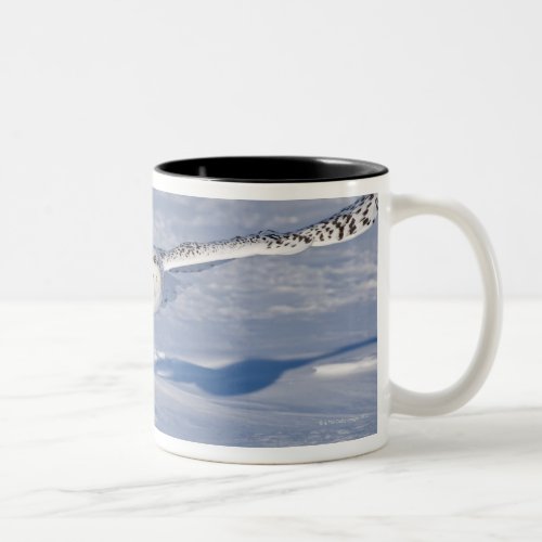 Snowy Owl in flight 2 Two_Tone Coffee Mug