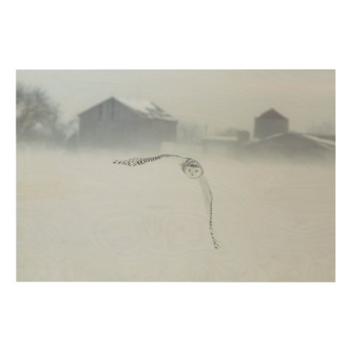 Snowy Owl In Flight In Winter Wood Wall Art