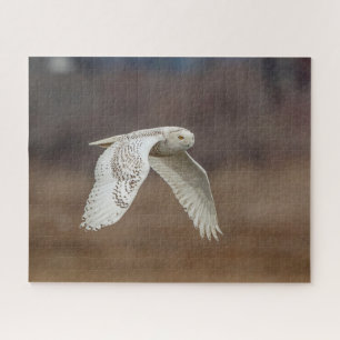 Snowy owl in flight jigsaw puzzle