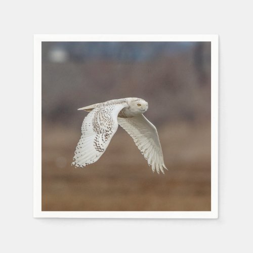 Snowy owl in flight napkins