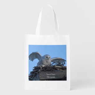 Snowy Owl in Nest Grocery Bag
