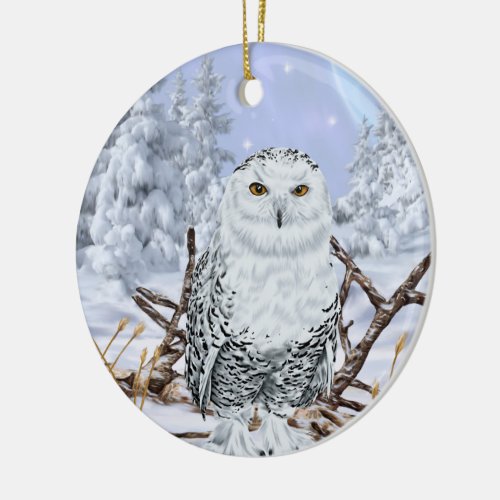 Snowy Owl in Snow Ceramic Ornament