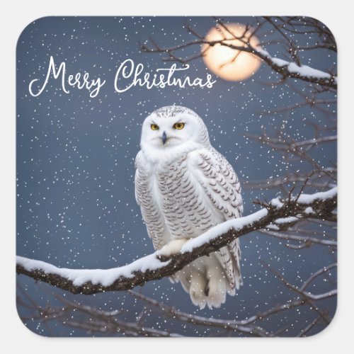 Snowy Owl In Snowflakes Square Sticker