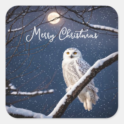 Snowy Owl In Snowflakes Square Sticker
