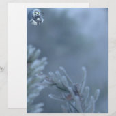 Snowy Owl in Winter (Front/Back)