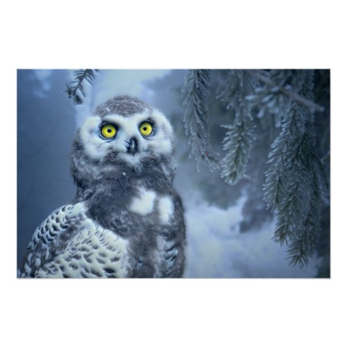 Snowy Owl in Winter Poster