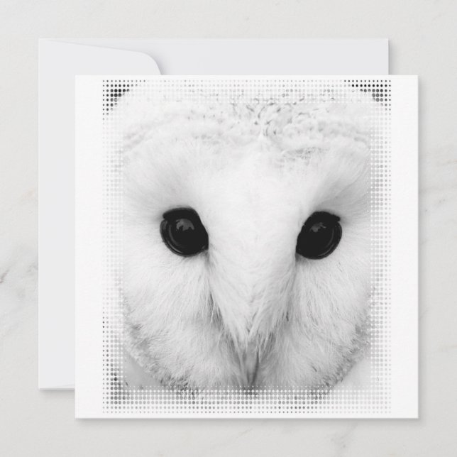 Snowy Owl Invitation (Front)
