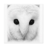 Snowy Owl Invitation
