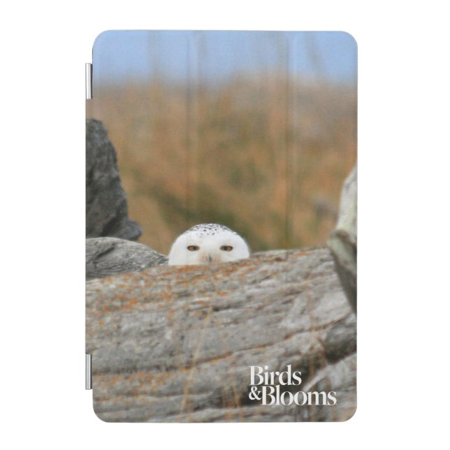 Snowy Owl iPad Mini Cover (Front)