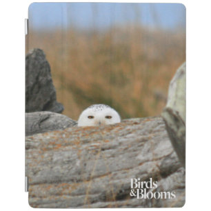 Snowy Owl iPad Smart Cover
