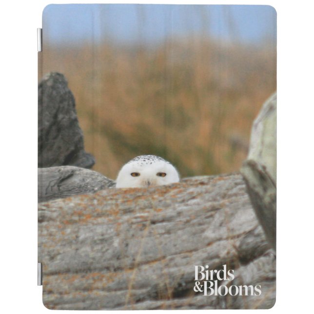 Snowy Owl iPad Smart Cover (Front)