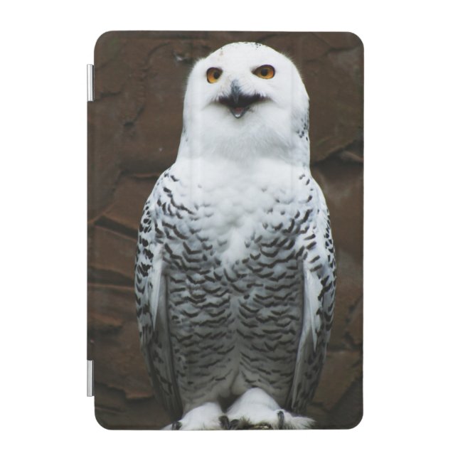 Snowy Owl ipam iPad Mini Cover (Front)