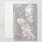 Snowy Owl, John Audubon (Front/Back)