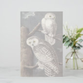 Snowy Owl, John Audubon (Standing Front)