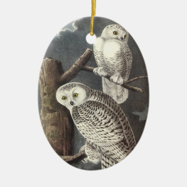 Snowy Owl, John Audubon Ceramic Ornament (Front)