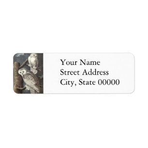 Snowy Owl, John Audubon Label