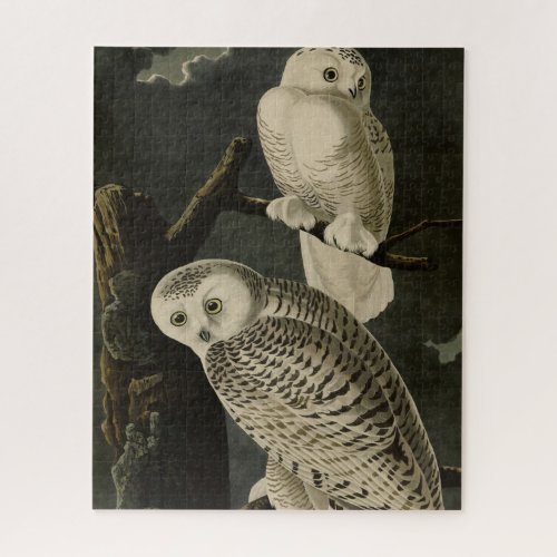 Snowy Owl John James Audubons Birds of America Jigsaw Puzzle