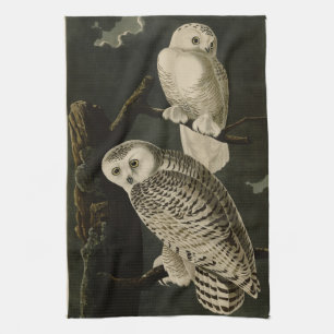 Snowy Owl, John James Audubon's Birds of America Kitchen Towel