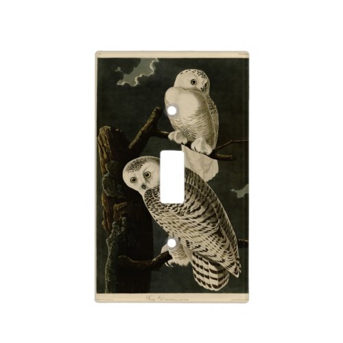 Snowy Owl John James Audubons Birds of America Light Switch Cover