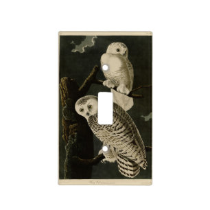 Snowy Owl, John James Audubon's Birds of America Light Switch Cover