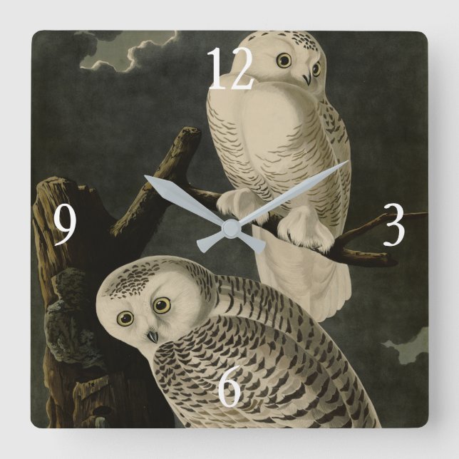 Snowy Owl, John James Audubon's Birds of America Square Wall Clock (Front)