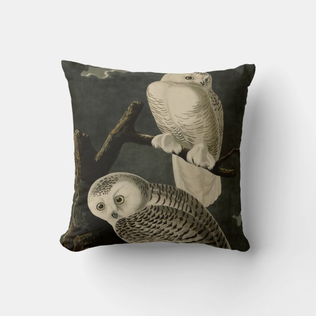 Snowy Owl, John James Audubon's Birds of America Throw Pillow (Front)