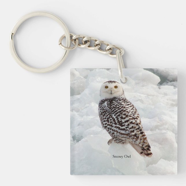 Snowy Owl key chain (Front)
