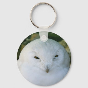 Snowy Owl Keychain