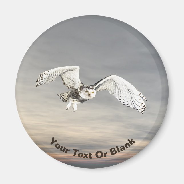 Snowy Owl Magnet (Front)