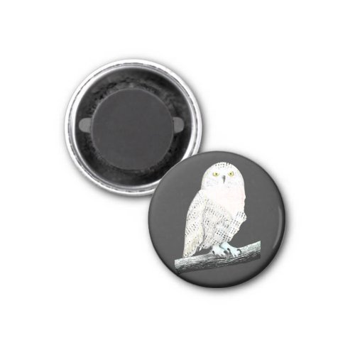 Snowy Owl Magnet