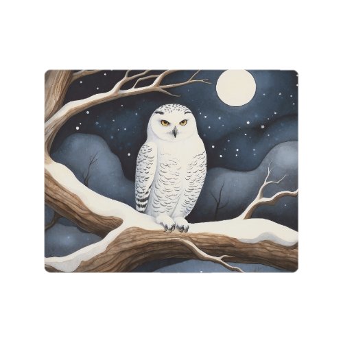 Snowy Owl Metal Print