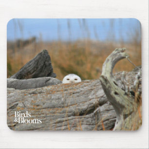Snowy Owl Mouse Pad